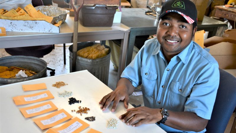 a photo of a man in casual clothes and a cap sitting at a table in front of various piles of different colored beans
