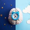 an artist's illustration of an alarm clock on top of a human brain. one half of the background shows a starry night sky, and the other half shows a bright cloudy sky.