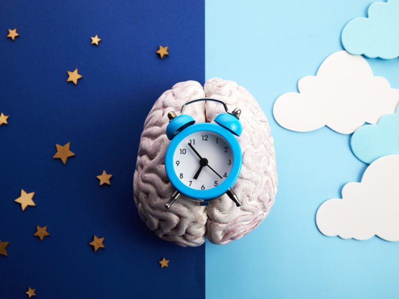 an artist's illustration of an alarm clock on top of a human brain. one half of the background shows a starry night sky, and the other half shows a bright cloudy sky.
