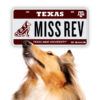 Reveille looking at a Reveille license plate reading Miss Rev Texas A&M University