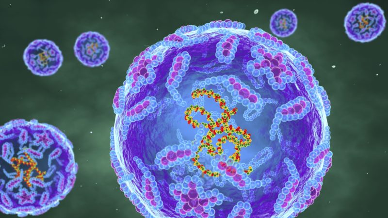 a digital illustration of polio virus particles floating against a green background.