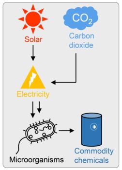 a graphic showing a process for creating bioplastics