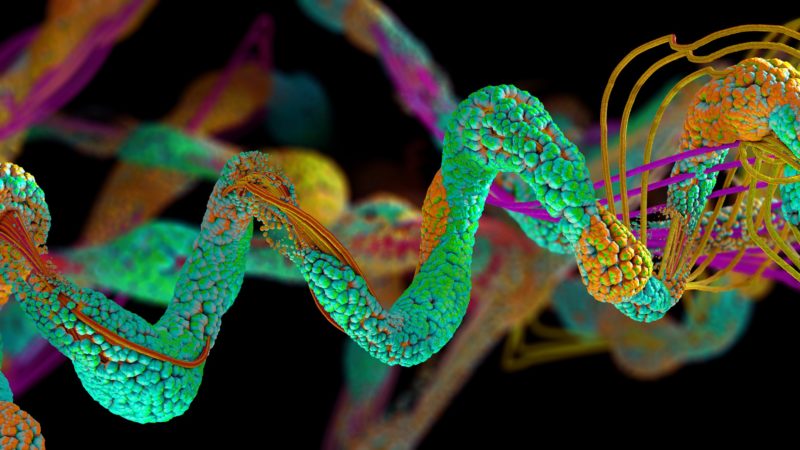 an artist's 3D illustration of a protein