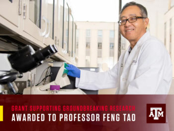 Grant supporting groundbreaking research awarded to Professor Feng Tao