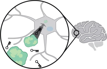 an artistic illustration of a human brain with a representation of the delivery tool and target protein
