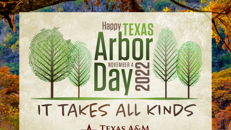 Happy Texas Arbor Day November 4 2022, it takes all kinds, texas A&M forest service