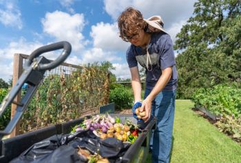 a photo of a young man in jeans and a t shirt placing a handful of picked produce into a wagon