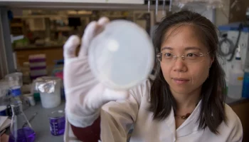 Portrait of chen in the lab holding up a petri dish
