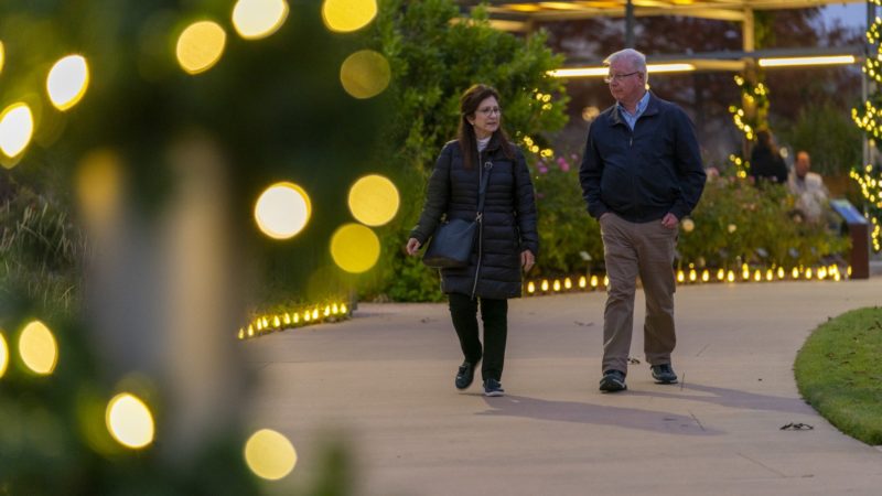 a photo of two older people in jackets walking down a path with Christmas lights and vegetation on either side