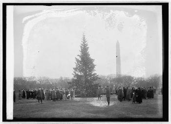 Black and white photo of the first Christmas tree erected on the White House South Lawn