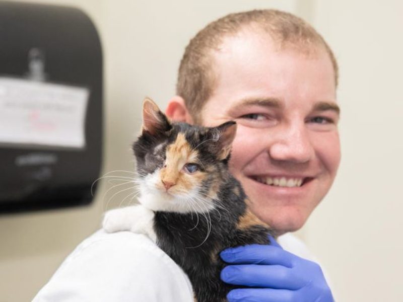 a photo of a smiling man in a lab coat and blue gloves holding a calico kitten with one eye