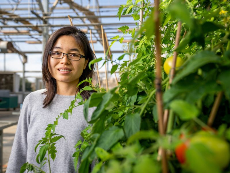 a photo of a smiling woman in glasses standing in a greenhouse next to a bunch of green, leafy plants.
