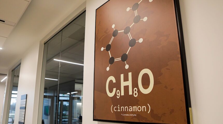 a photo of a brown canvas with a cinnamaldehyde molecule and chemical formula above the word 