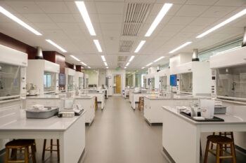 A photo of a large well-equipped chemistry lab, with big built-in lab stations and a row of fume hoods down either wall