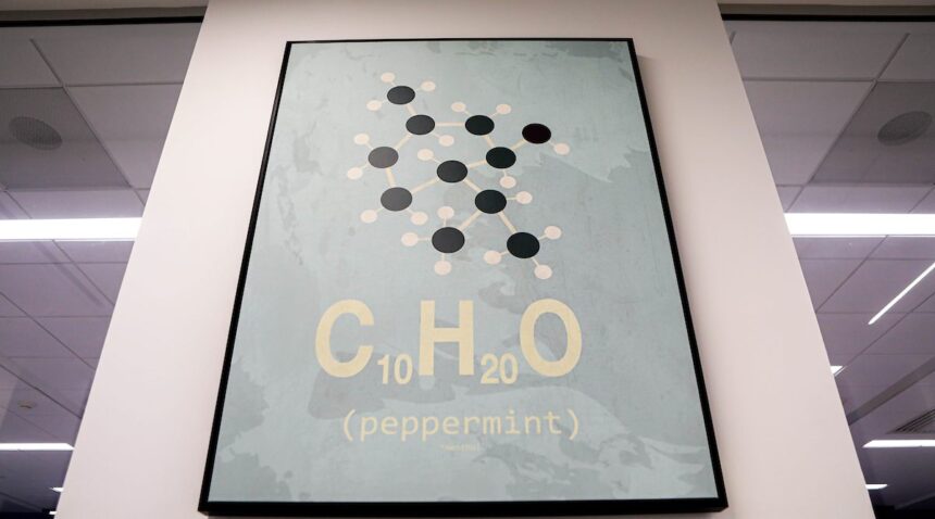 a photo of a brown canvas with a menthol molecule and chemical formula above the word 