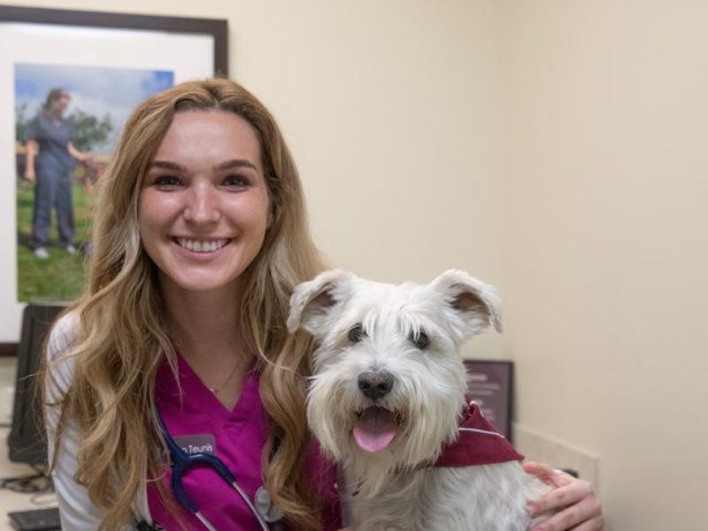 a photo of a woman in magenta scrubs and a lab coat smiling into the camera while holding a white schnauzer with a shaved belly on an exam table