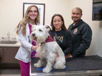 a photo of a woman in magenta scrubs and a lab coat standing next to two smiling people in dark jackets. in front of them is Max the schnauzer, sitting on the exam table with his tongue out.