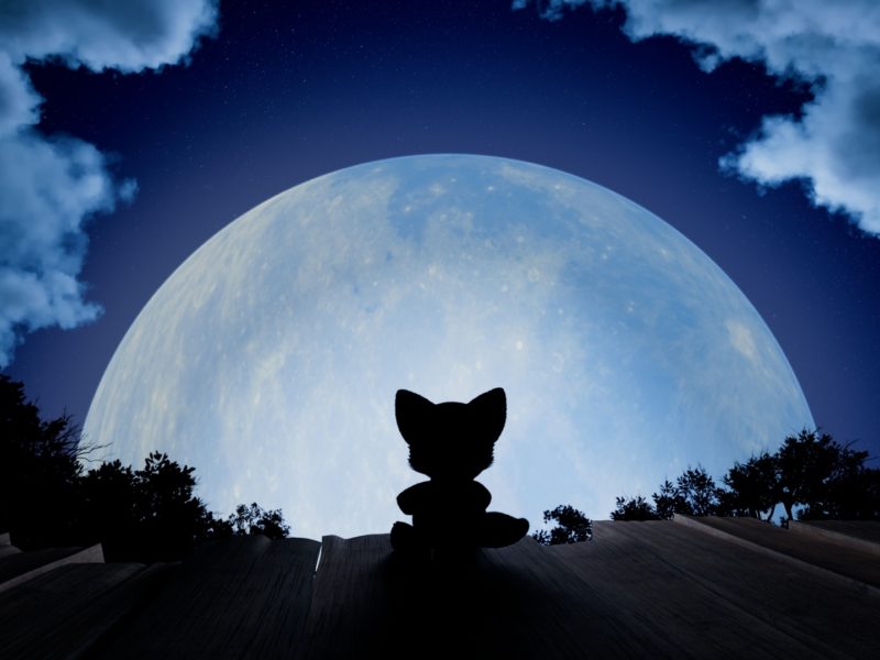 a frame from an animated short film showing the silhouette of a small fox-like animal looking out at a giant bright moon