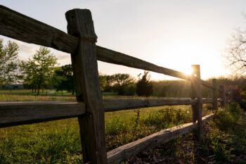a photo of a wooden fence in a green field with the sun shining out from behind it
