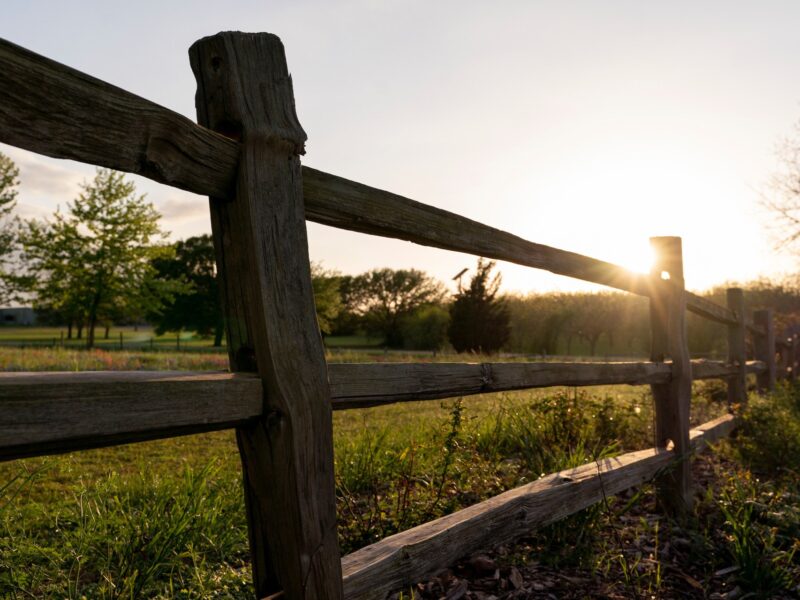 a photo of a wooden fence in a green field with the sun shining out from behind it