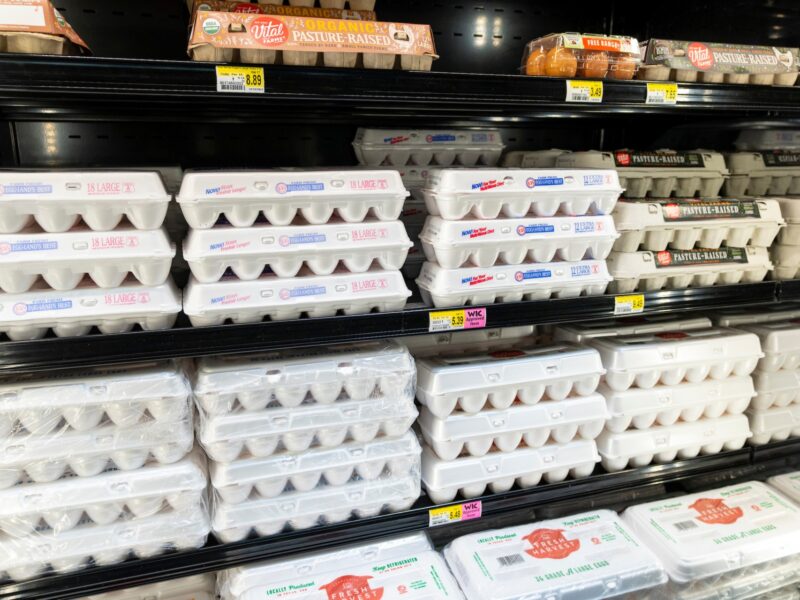 a photo of cartons of eggs on a shelf at the grocery store, with prices ranging from a little over 5 dollars a dozen up to almost 9 dollars a dozen