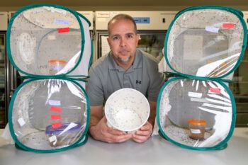 Kevin Myles, Ph.D., Department of Entomology professor, with containers of mosquitoes used in his research. 