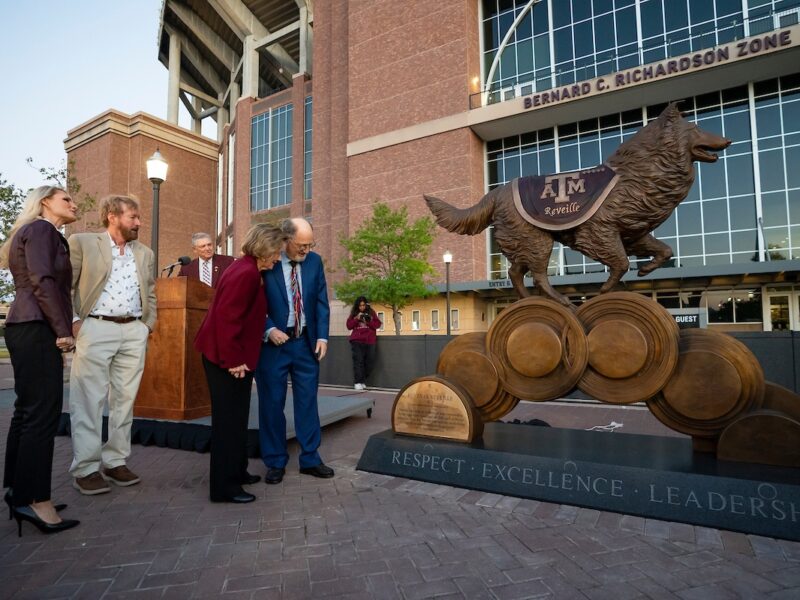 People stand to the side of a large bronze statue of Reveille in front of Kyle Field