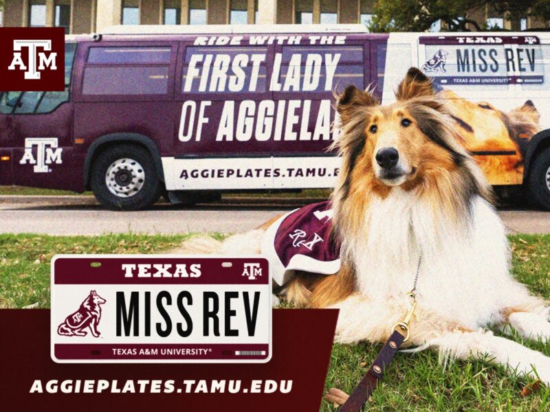 An image of Reveille in front of the Reveille Aggie Spirit bus, a license plate that says Miss Rev, aggieplates.tamu.edu