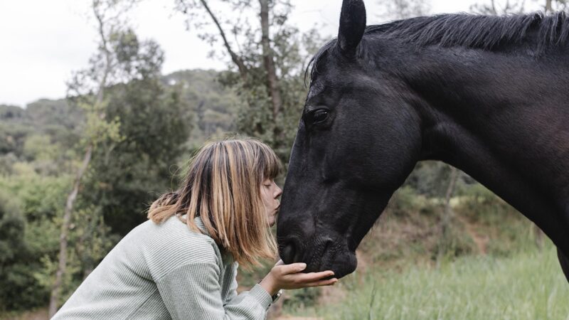a woman kissing her horse on the nose