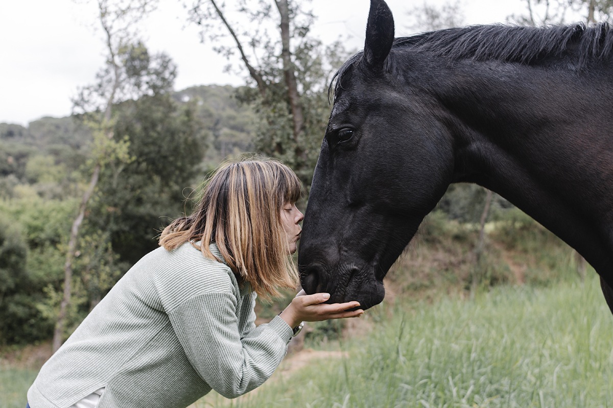 learning-to-evaluate-a-horse-s-health-on-your-own-texas-a-m-today