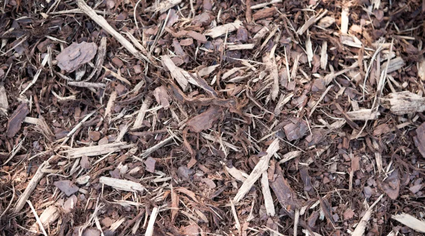 a close up of mulch on the ground. it is various shades of brown.