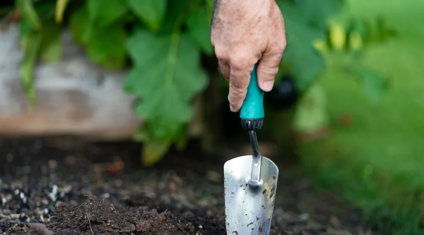 A trowel with a blue-green handle is about to be put into dark, rich soil.