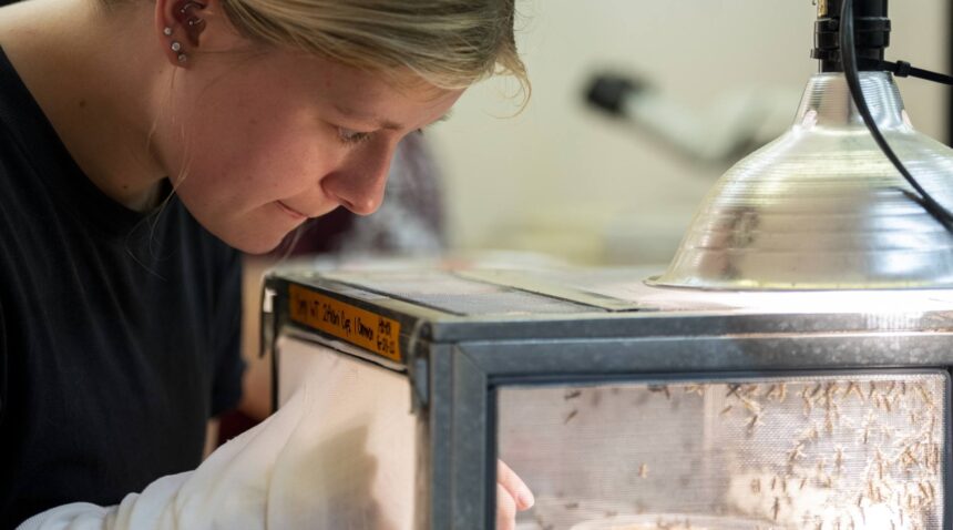 A researcher is examining a container filled with specimens.
