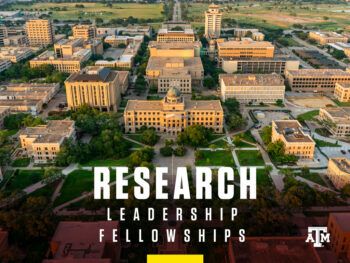 Research Leadership Fellowships