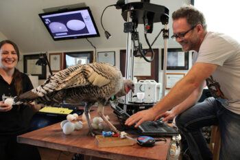 Constance Woodman and Sean Michael Ragan in the Ragan lab with a turkey