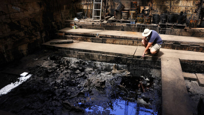 A fossil researcher kneels next to the La Brea Tar pits pointing at a fossil that is visibly protruding