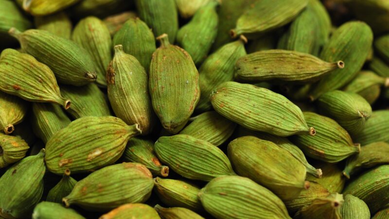 A close up view of many green Cardamom Pods. Fills the frame.