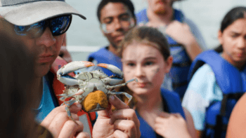 a photo of a man in a cap and sunglasses holding up a crab with eggs on its belly