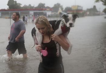 HOUSTON, TX - AUGUST 27: Naomi Coto carries Simba on her shoulders as they evacuate their home after the area was inundated with flooding from Hurricane Harvey on August 27, 2017 in Houston, Texas. Harvey, which made landfall north of Corpus Christi late Friday evening, is expected to dump upwards to 40 inches of rain in Texas over the next couple of days.