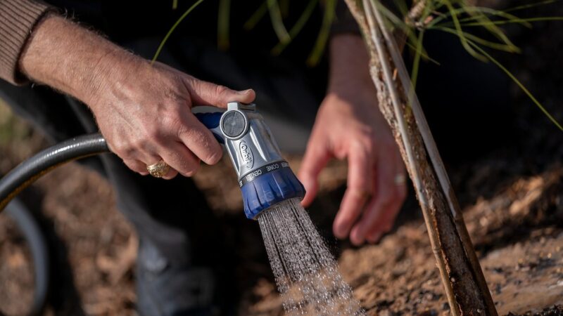 Water is applied to the base of a tree by a hose nozzle. The person's hand has a Texas A&M ring on one finger.