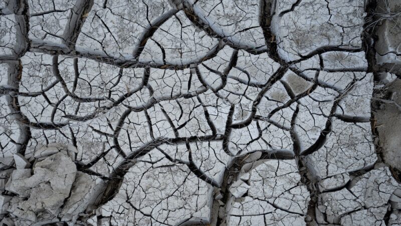 cracked dirt caused by dry conditions,