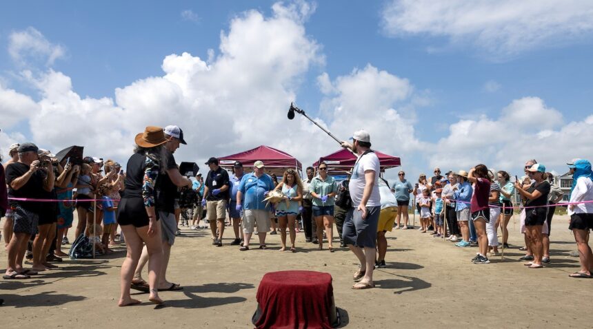 a photo showing a group of people carrying a sea turtle down the beach while onlookers take photos