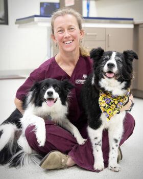 a photo of a veterinarian and two dogs.
