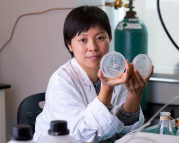 Portrait of Dai in the lab holding up two Petri dishes
