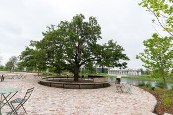 ClayDesta Point hosts the Rudder Oak, benches, tables and rocking chairs to enjoy the shade and views.