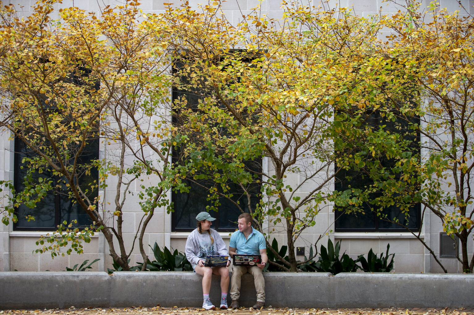 Texas Arbor Day Highlights Value, Benefits Of Trees Texas A&M Today