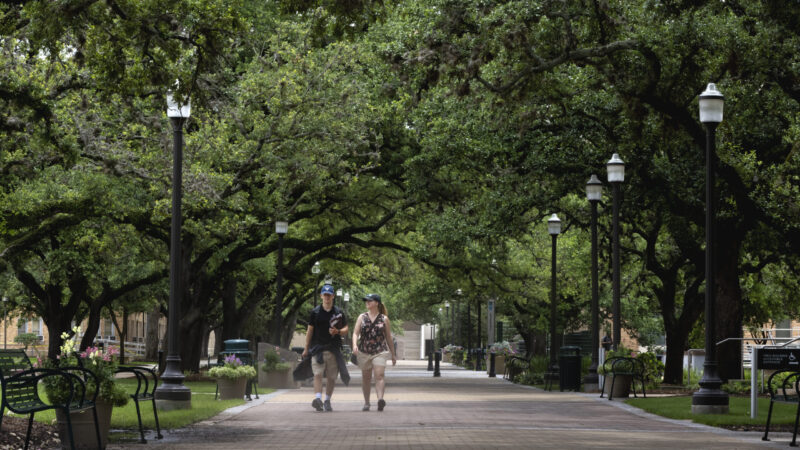 A photo of two people walking on a sidewalk on the Texas A&M campus under a thick canopy of green trees.