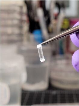 Close-up photo of forceps holding the tiny biosensor