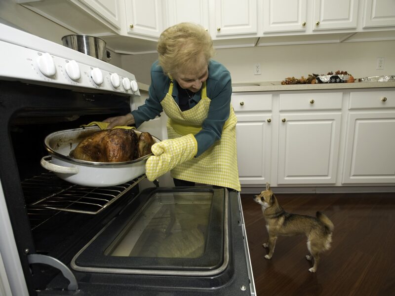 a woman pulling a turkey out of the oven as a dog observes