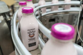 A glass milk bottle on a production line